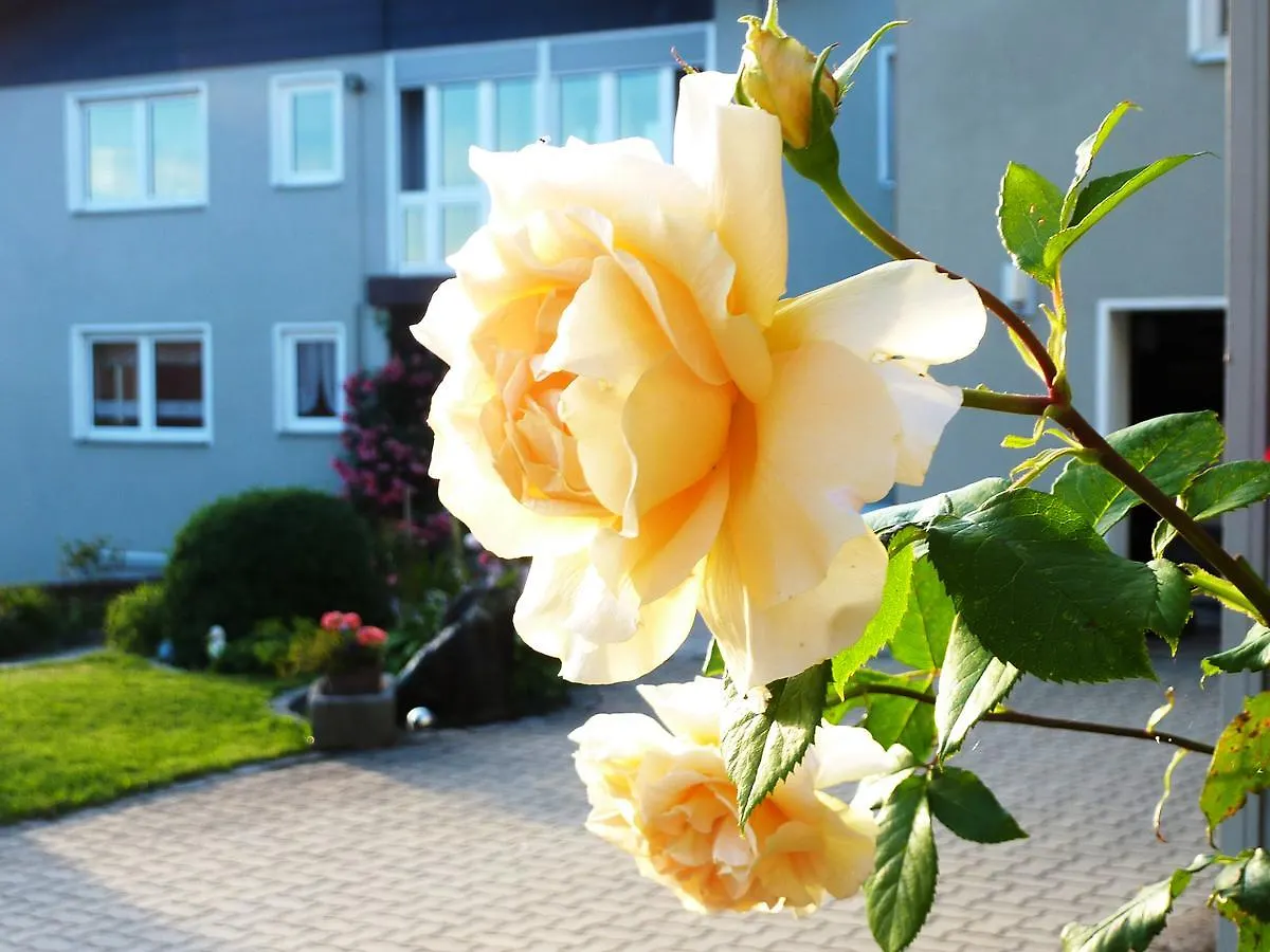 Ferienhof Obertennersreuth Stammbach Farm stay